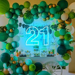 Birthday Party Neon Sign Light OEM Custom Neon Lamp OEM Factory