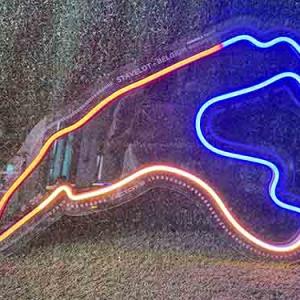 Personalised Neon Wedding signs for event decor